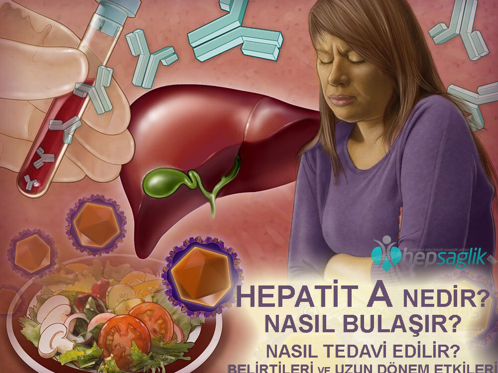 Hepatit A aşısı hangi aylarda yapılır?